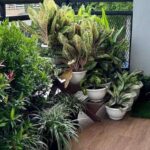 Membangun Suasana yang Stabil dengan Pola Harian