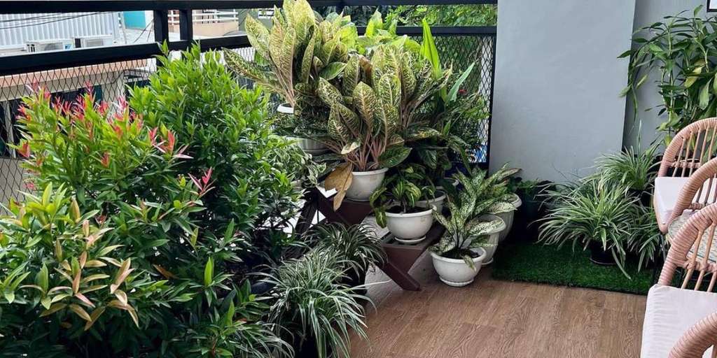 Membangun Suasana yang Stabil dengan Pola Harian